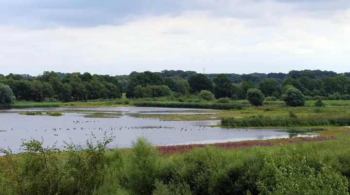 Die Rieselfelder | © Pixabay/ Reginas Photos