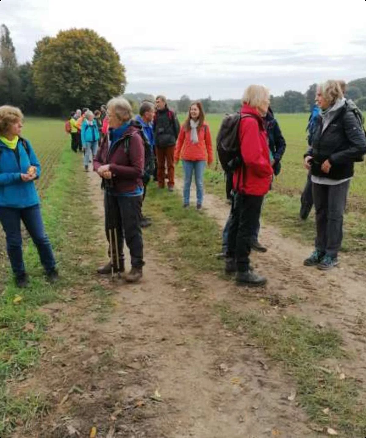 Kurze Pause bei einer Wanderung der Gruppe Berg rauf und Berg runter auf einem Feldweg | © DAV Münster