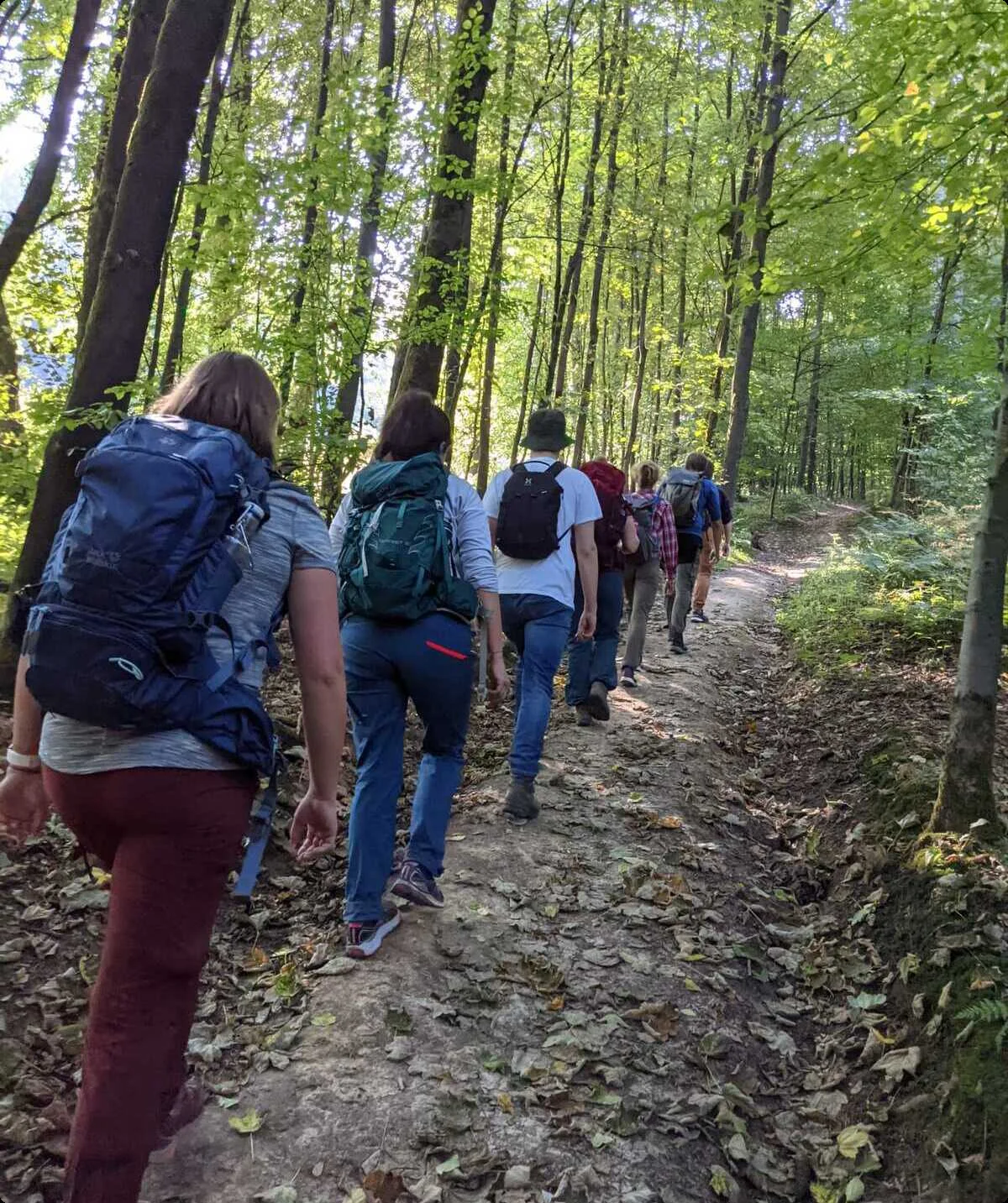 Die goldenen 20 wandern durch einen Wald | © DAV Münster