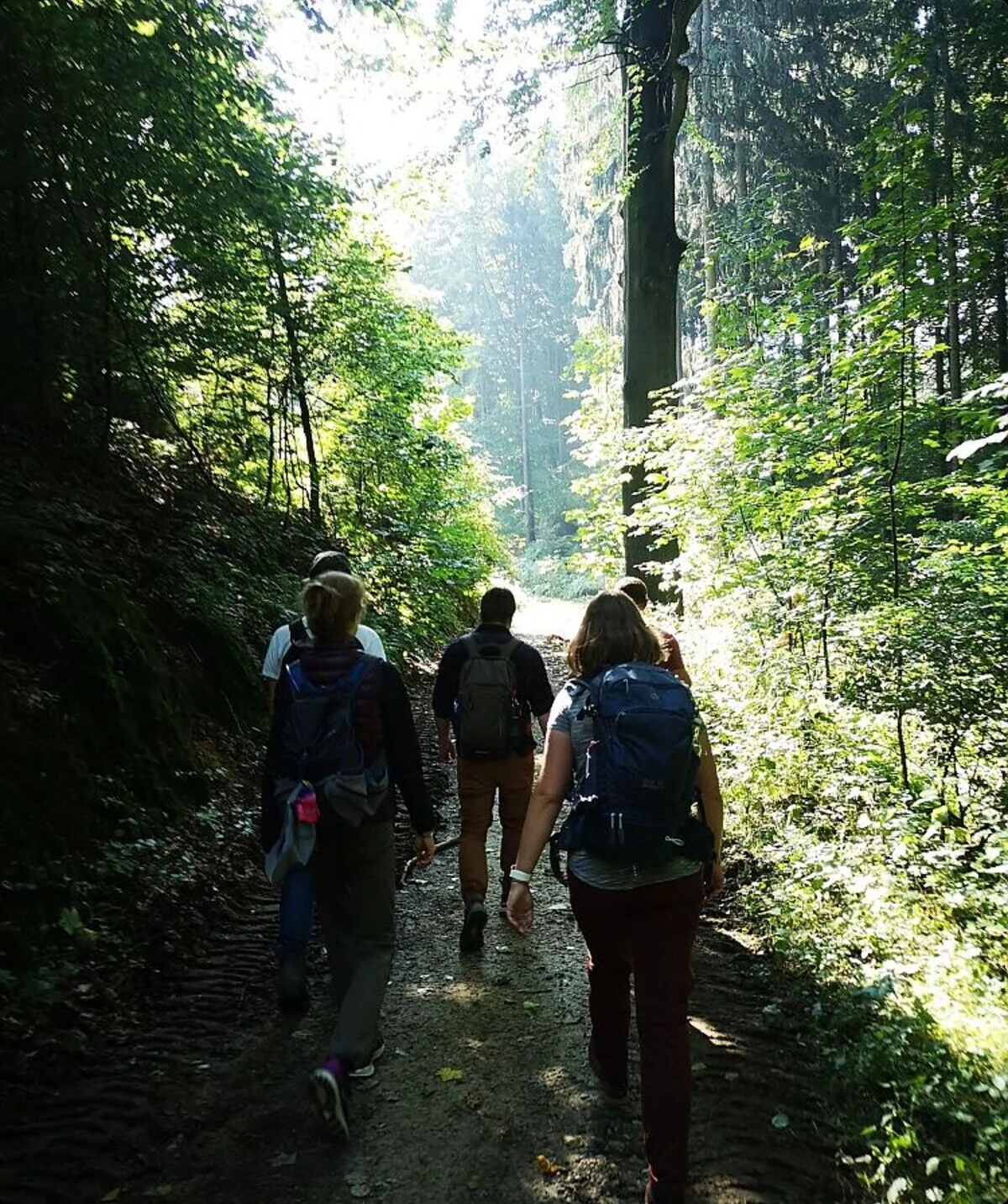 Die goldenen 20 unterwegs in einem Wald | © DAV Münster