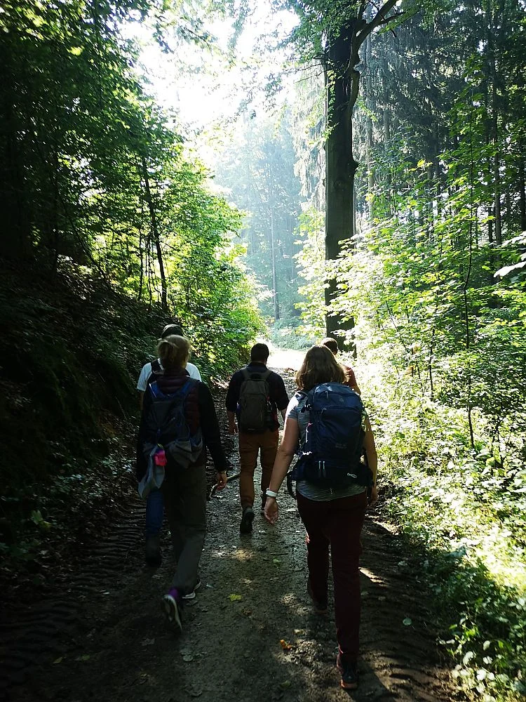 Die goldenen 20 unterwegs in einem Wald | © DAV Münster