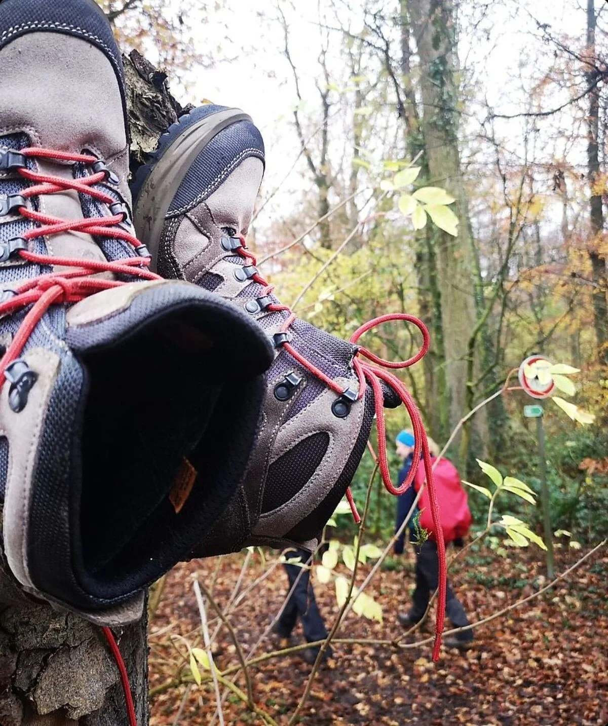 Es sind zwei Wanderschuhe an einem Baum befestigt | © DAV Münster