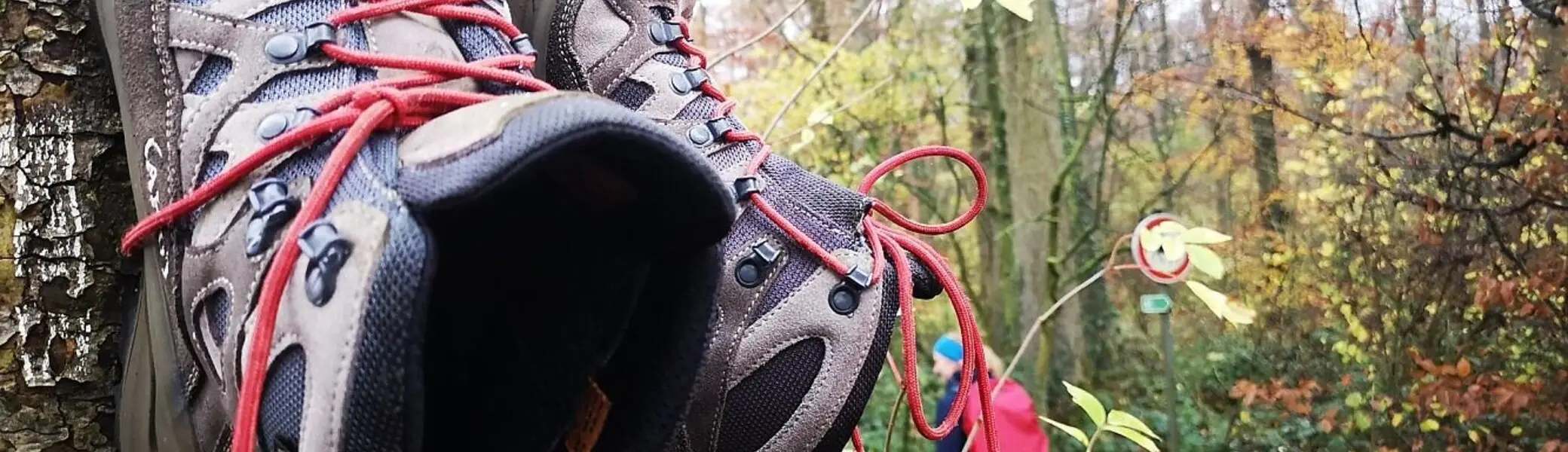 Es sind zwei Wanderschuhe an einem Baum befestigt | © DAV Münster