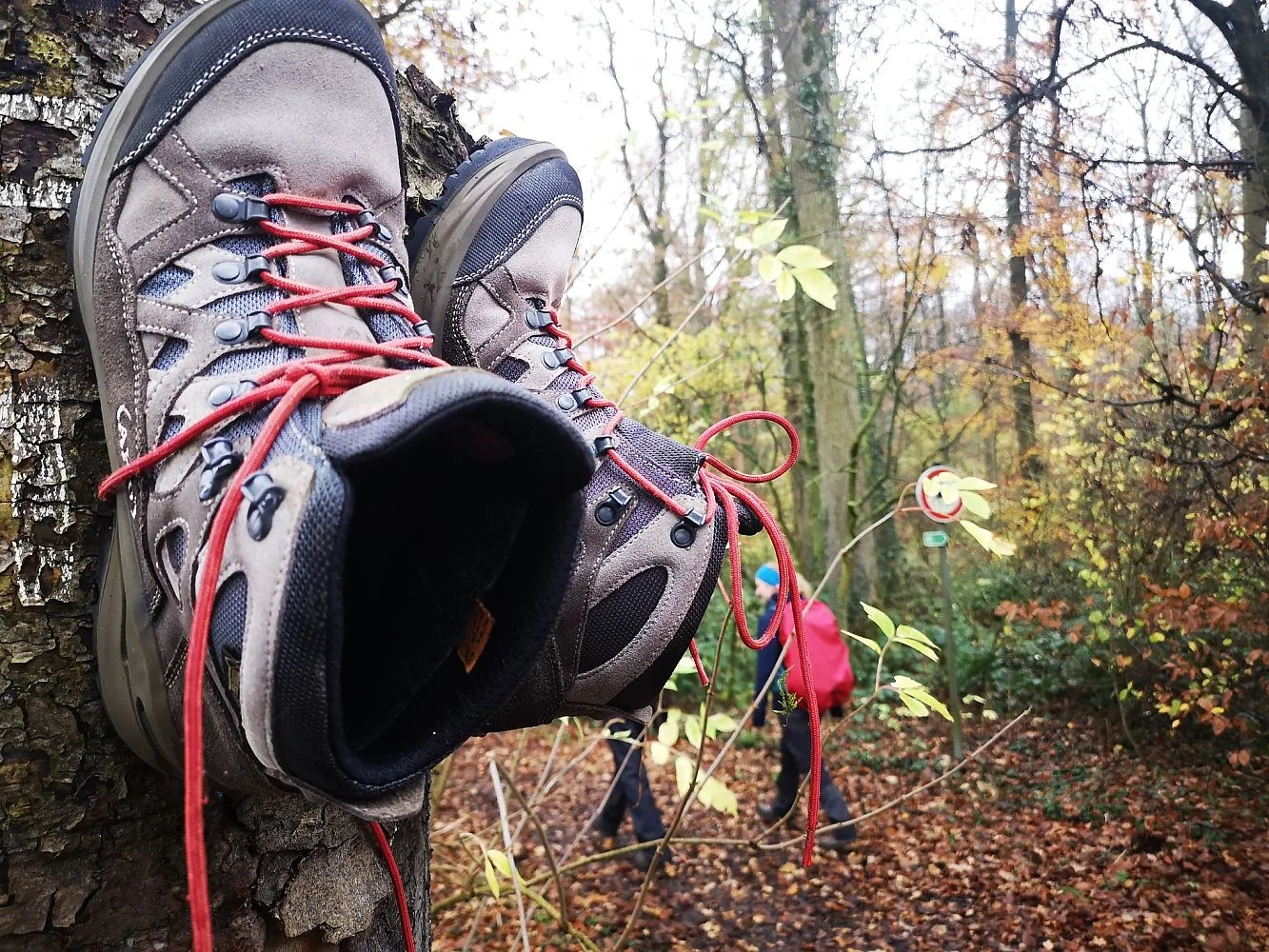 Es sind zwei Wanderschuhe an einem Baum befestigt | © DAV Münster