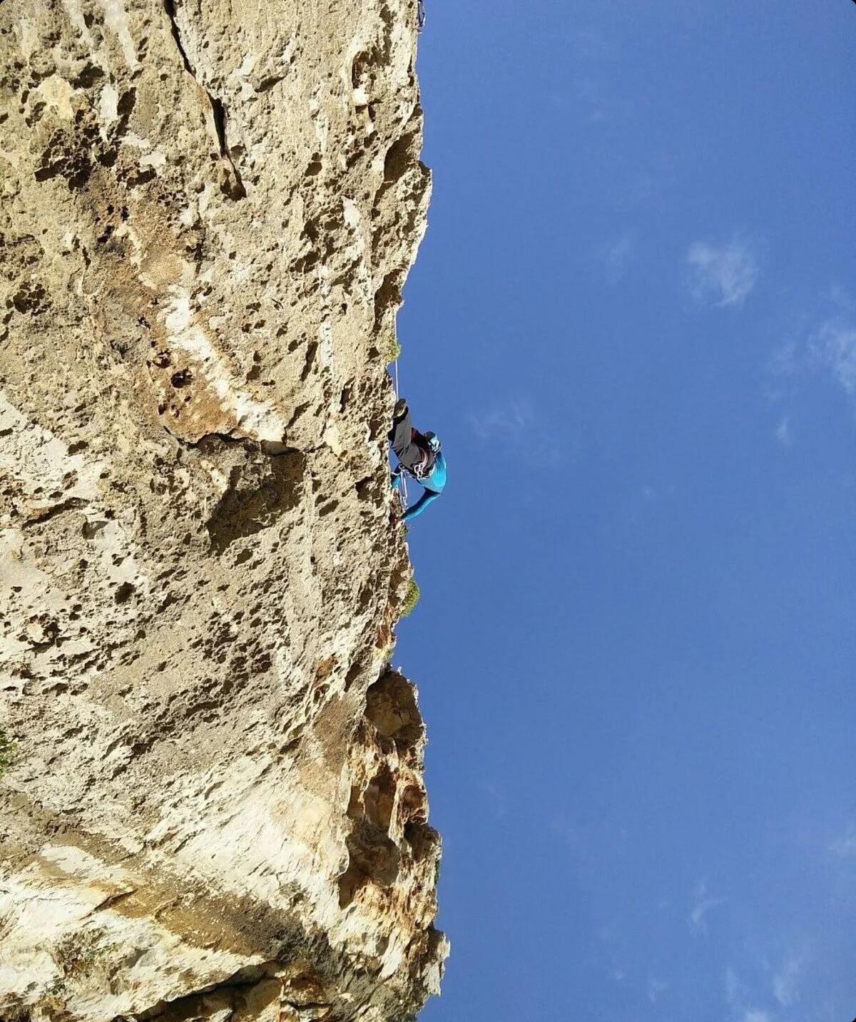 Ein Kletterer ist weit oben zu sehen | © DAV Münster