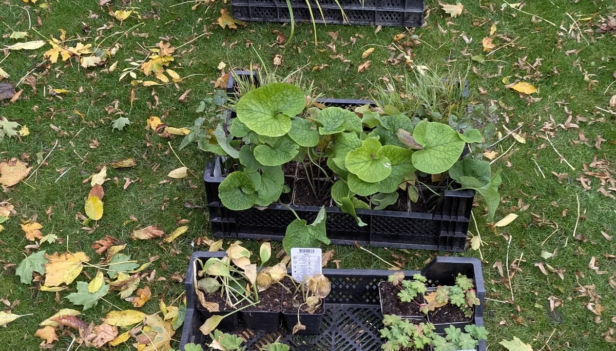 Gartenaktion am 25.10.2025 | © DAV Münster