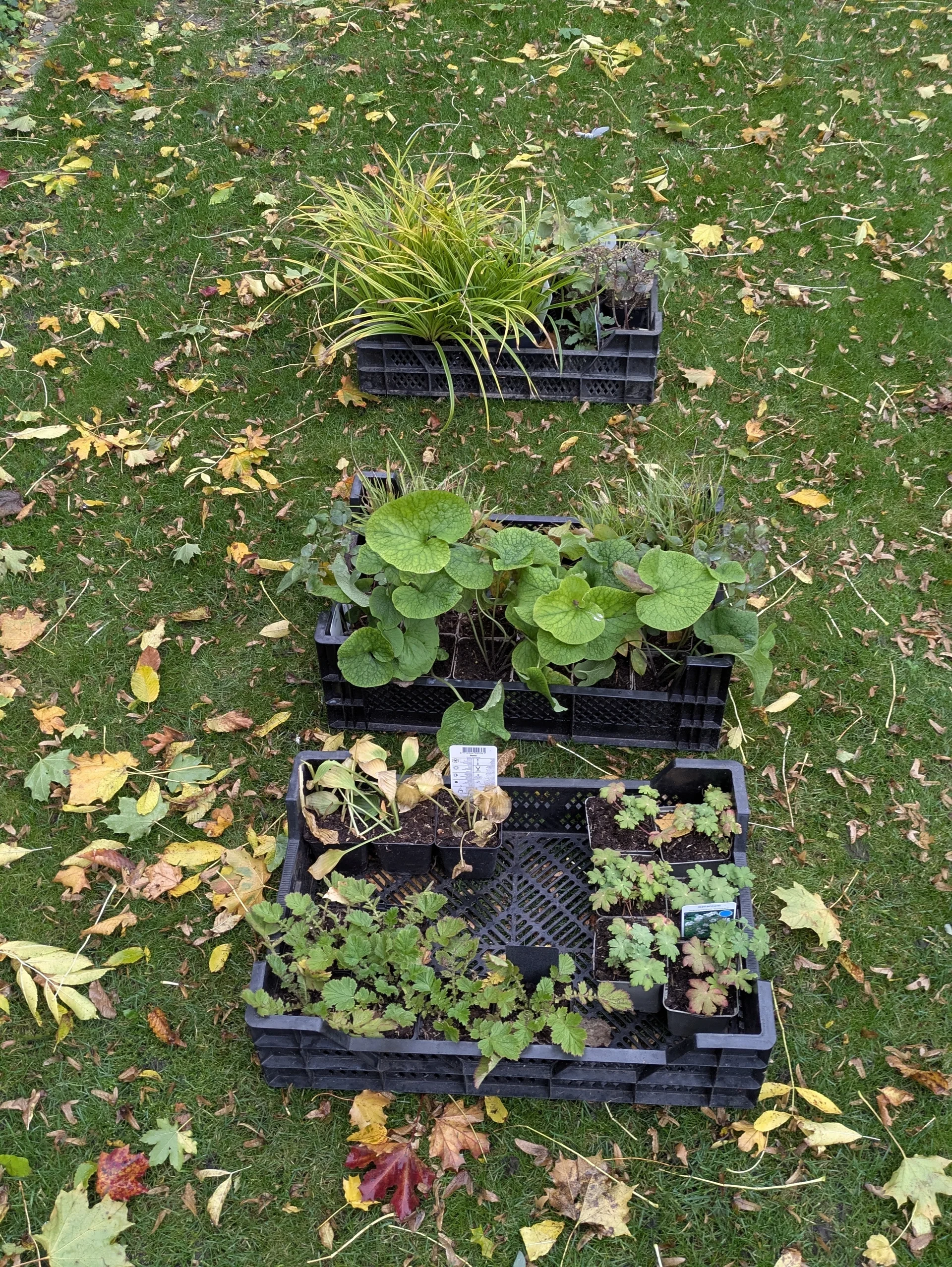 Gartenaktion am 25.10.2025 | © DAV Münster