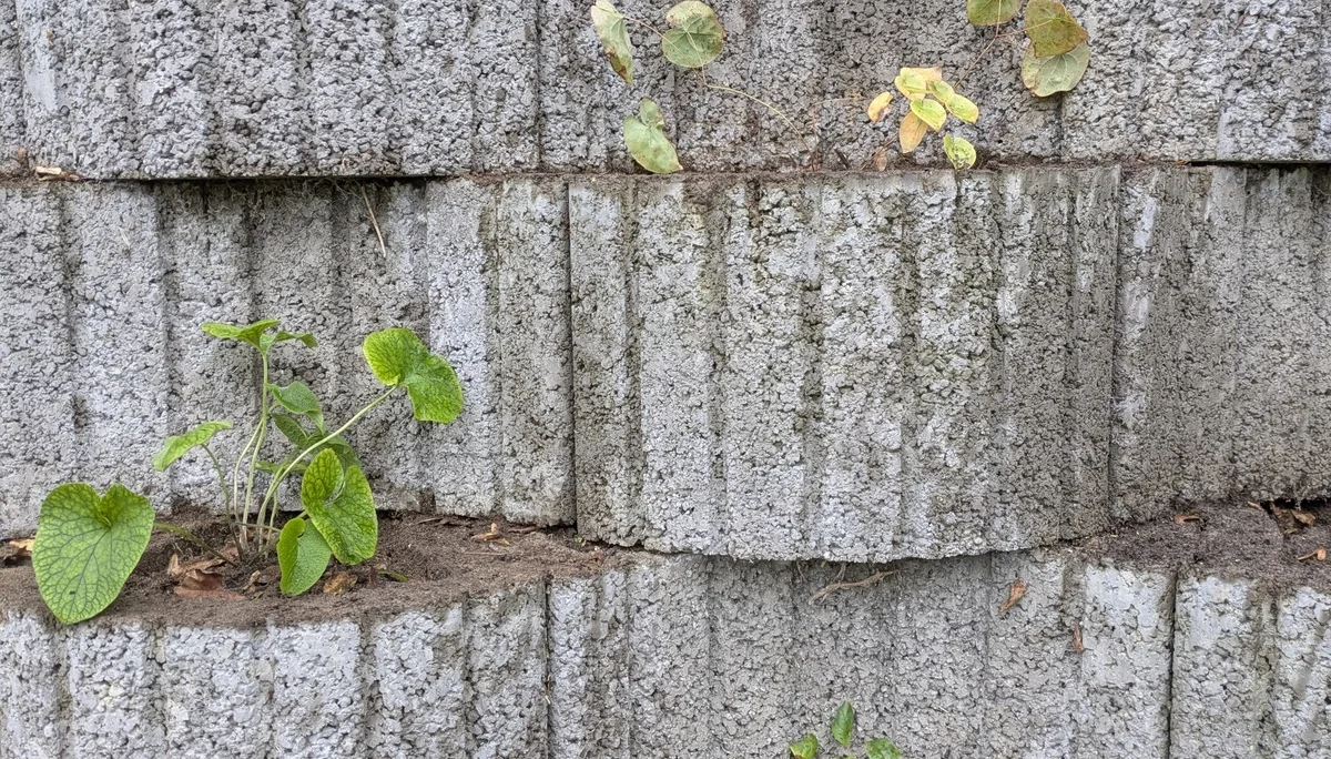 Gartenaktion am 25.10.2025 | © DAV Münster