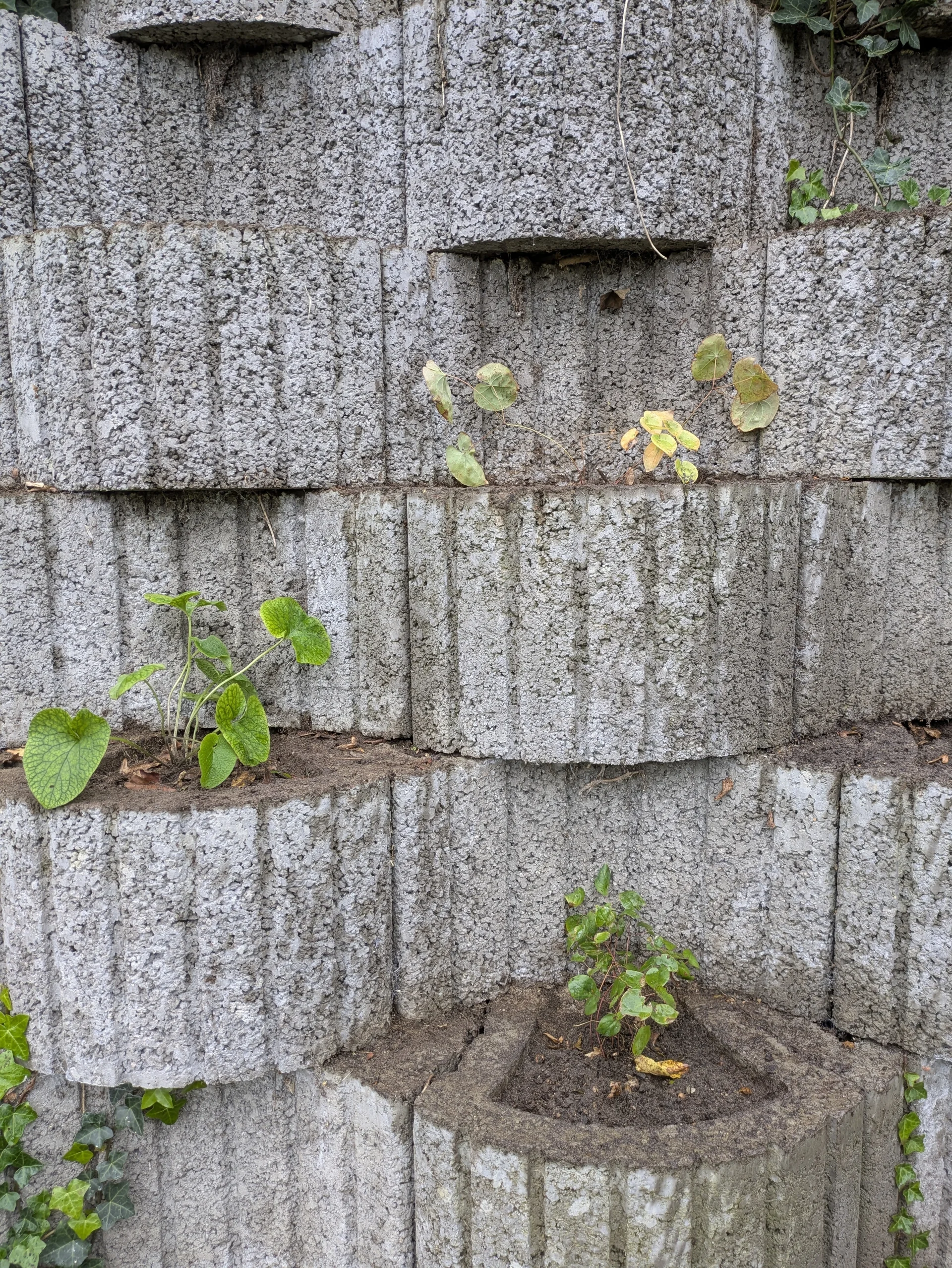 Gartenaktion am 25.10.2025 | © DAV Münster