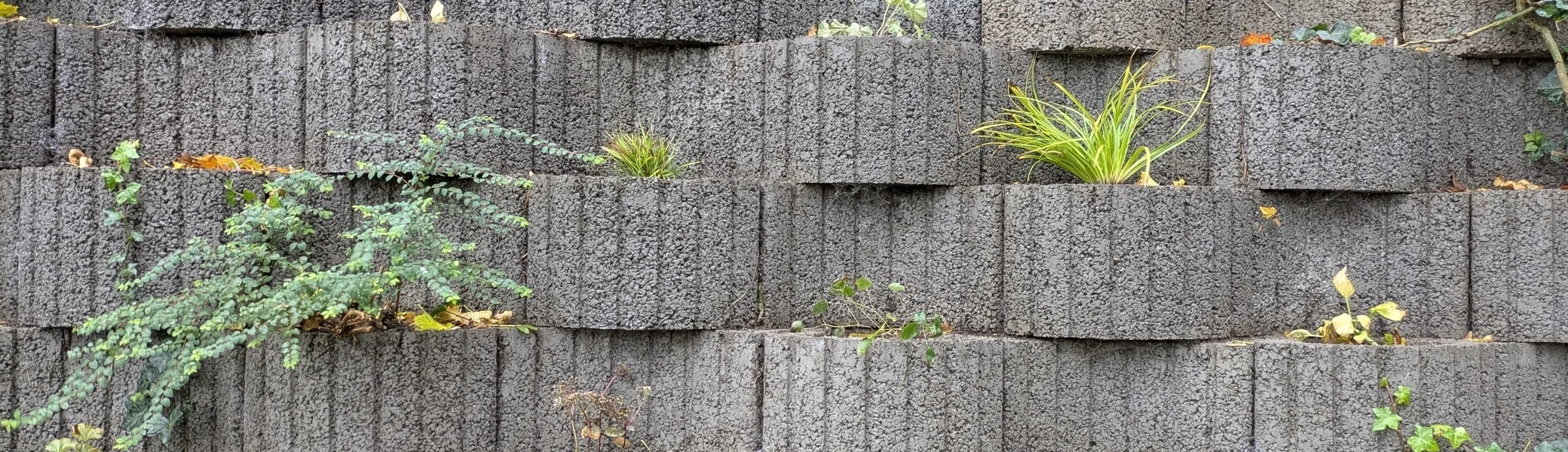 Gartenaktion am 25.10.2025 | © DAV Münster