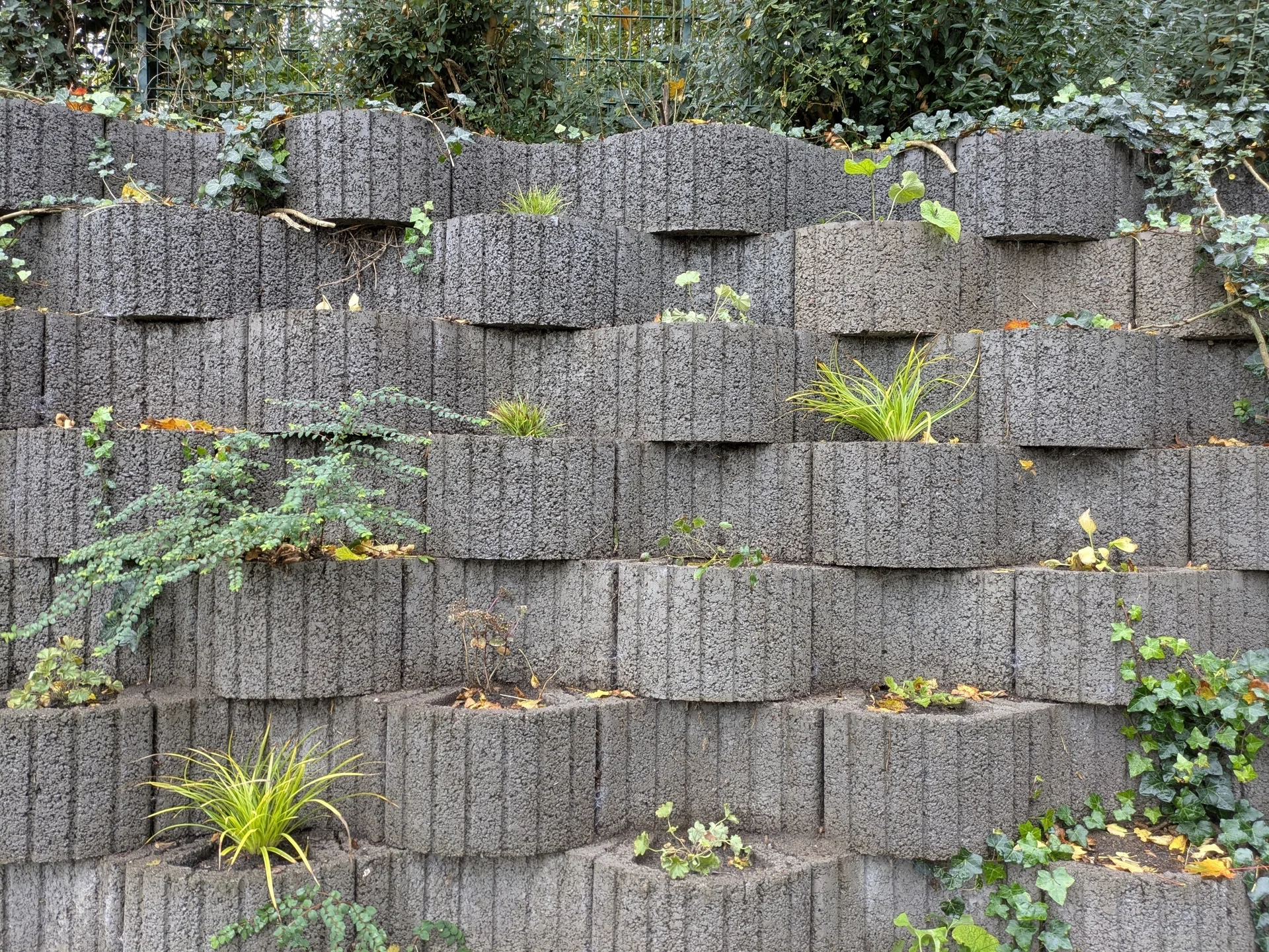 Gartenaktion am 25.10.2025 | © DAV Münster