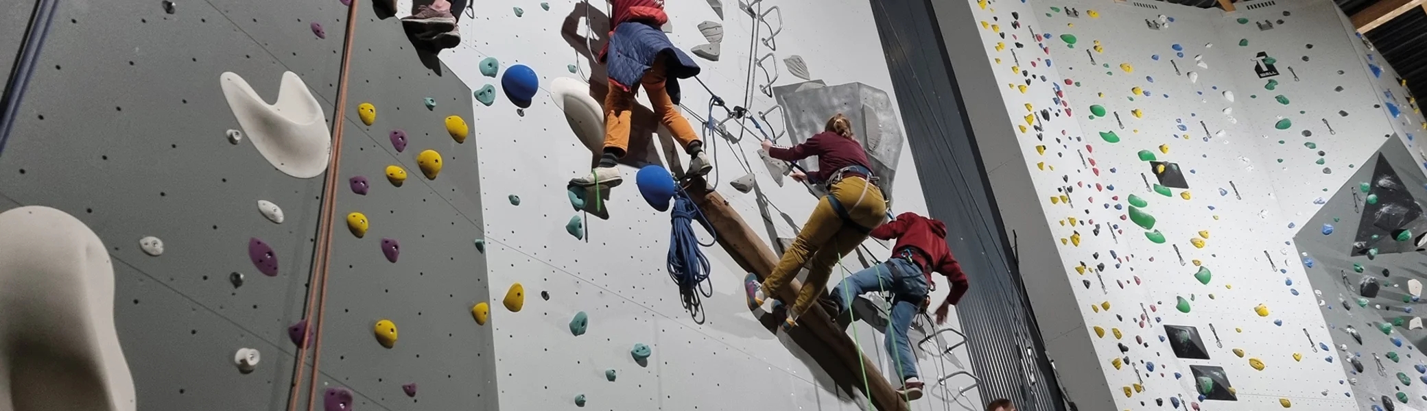 Nahaufnahme der Kletterwand | © DAV Münster