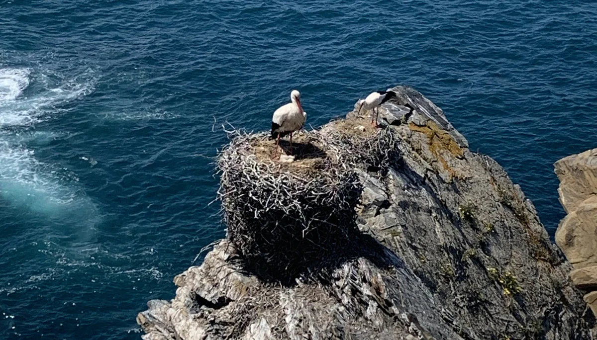 Fischerweg in Portugal | © DAV Münster