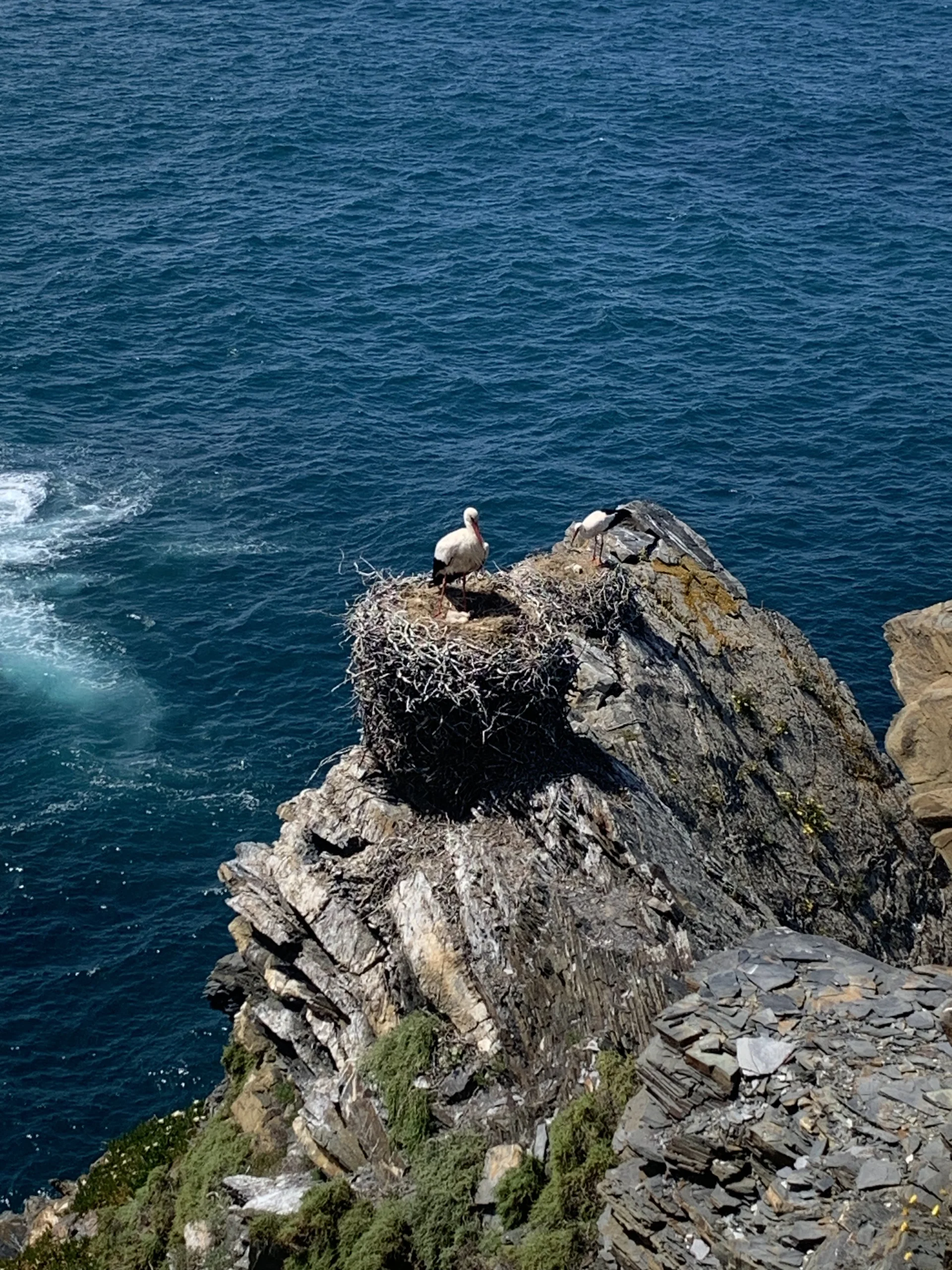 Fischerweg in Portugal | © DAV Münster