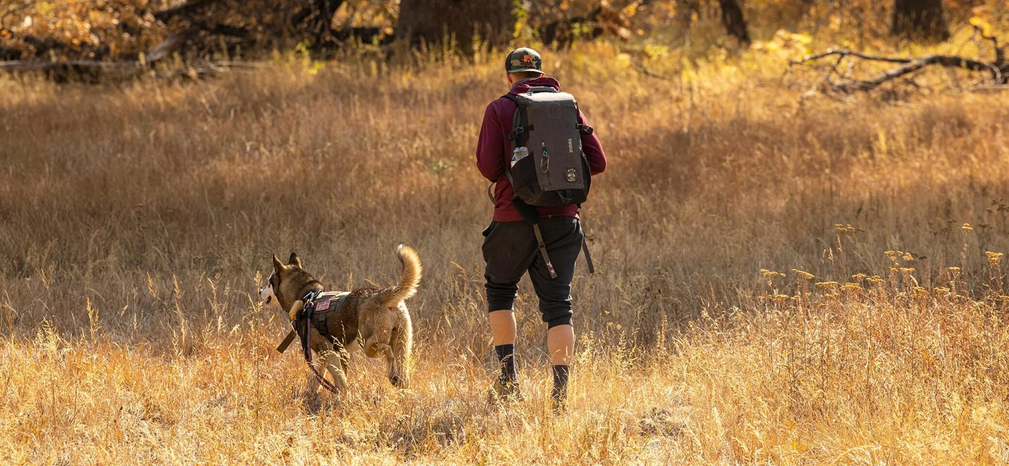 Wandern mit Hund Banner | © Leo_Visions/Unsplash