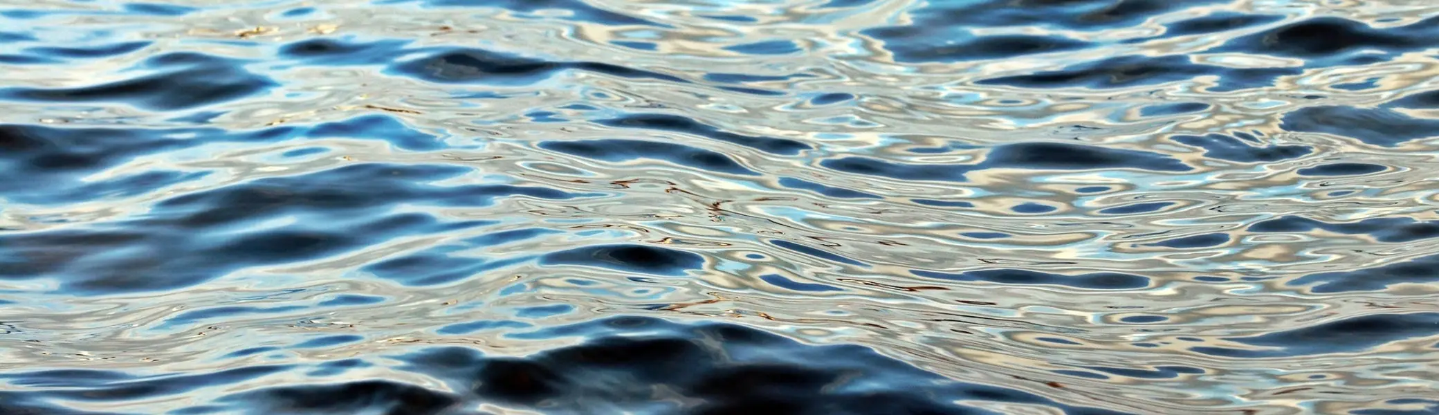 See | © Pixabay/NoName_13