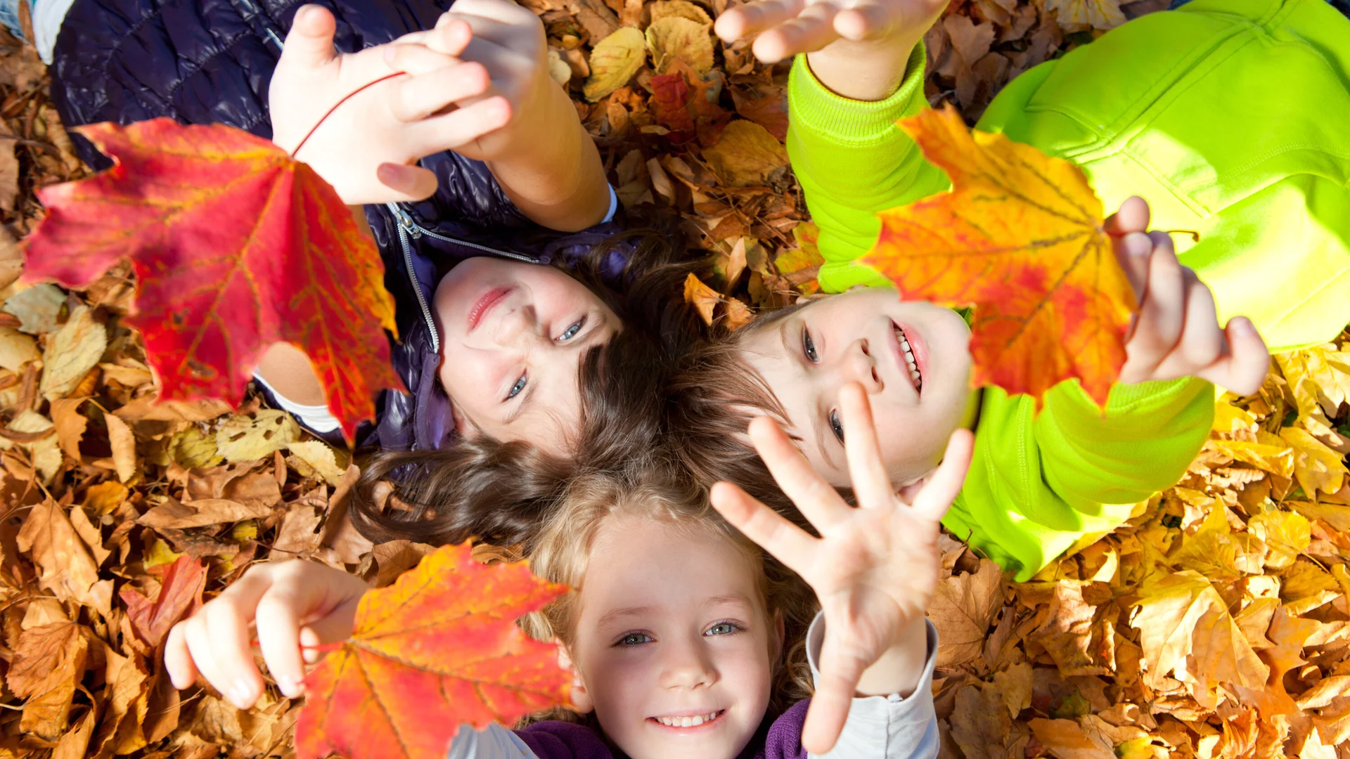 Kinder spielen mit bunten Hrbstblättern | © Drubig Photo / Adobe Stock